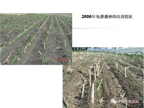 輕簡(jiǎn)型免耕播種機(jī)的技術(shù)革新與種植應(yīng)用——播種機(jī)械化發(fā)展研討會(huì)專題報(bào)告